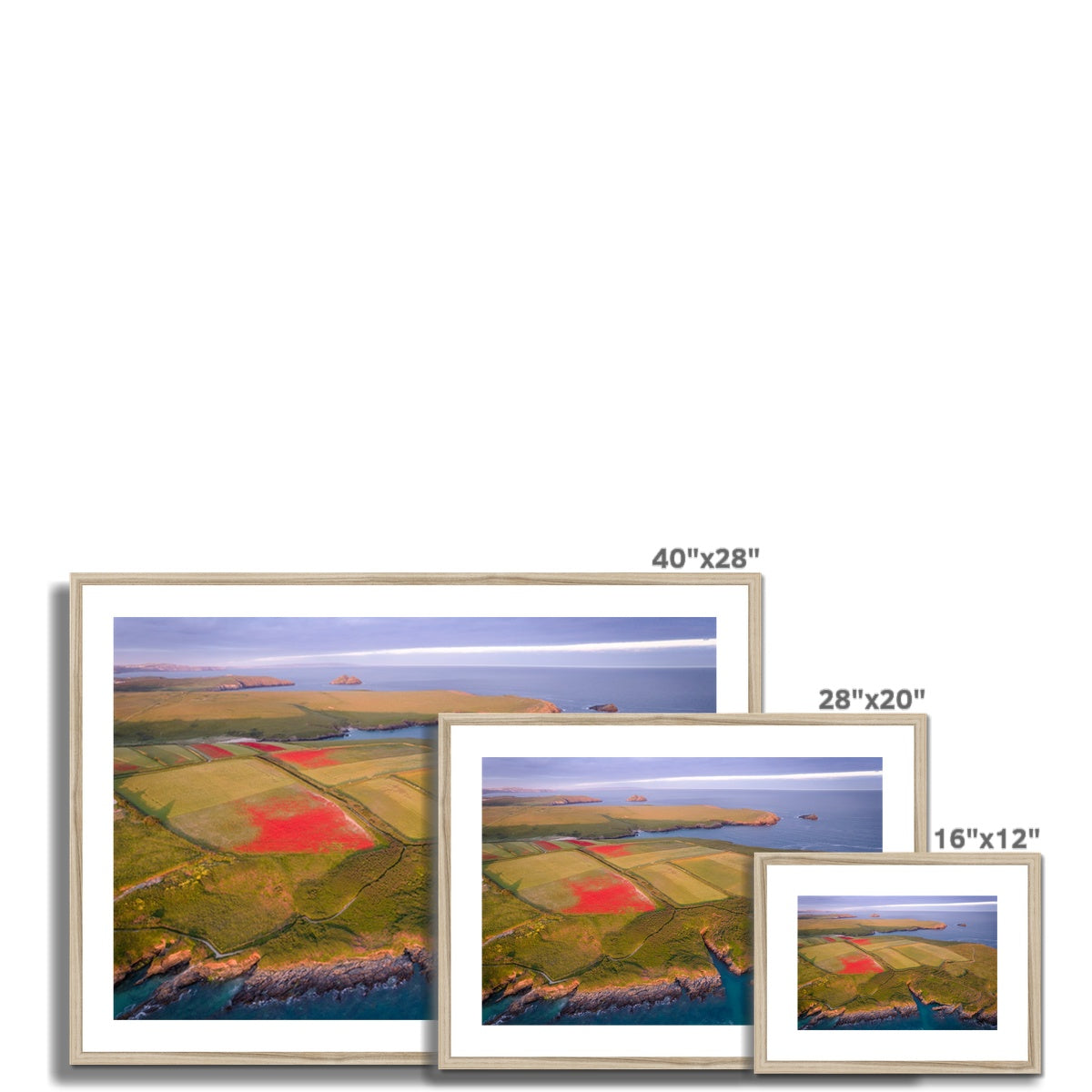 Poppies West Pentire ~ Framed & Mounted Print