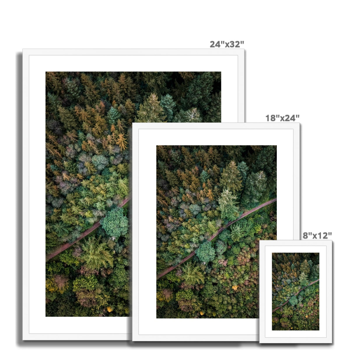 cardinham woods frame sizes