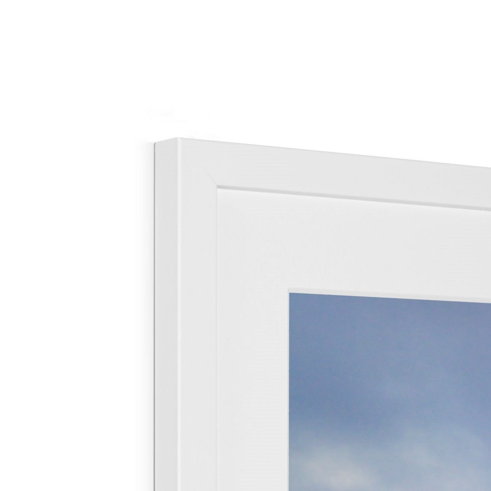 phacelia fields perranporth white frame detail
