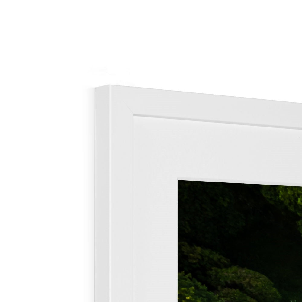glendurgan maze white frame detail