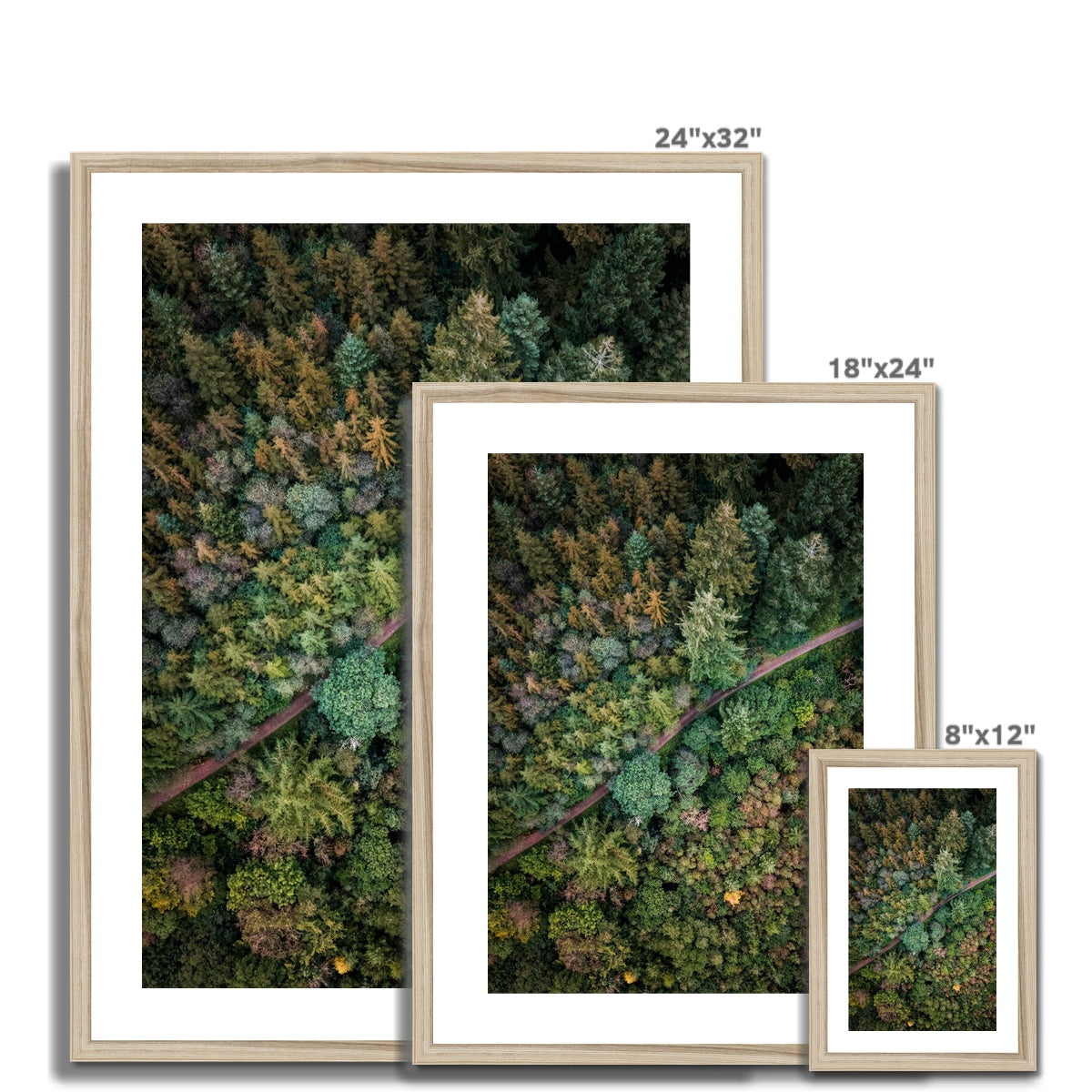cardinham woods framed photograph