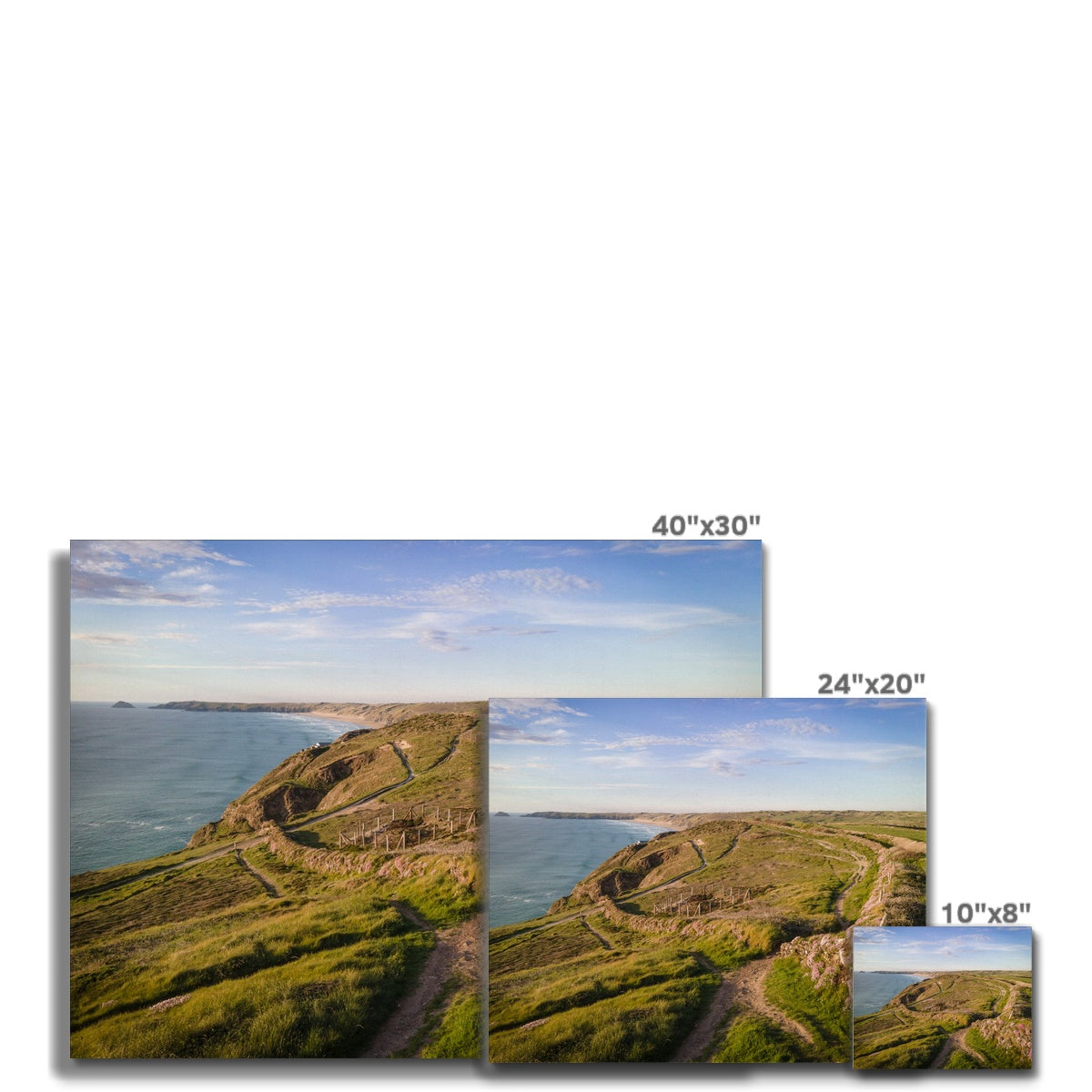 droskyn sea pinks canvas sizes