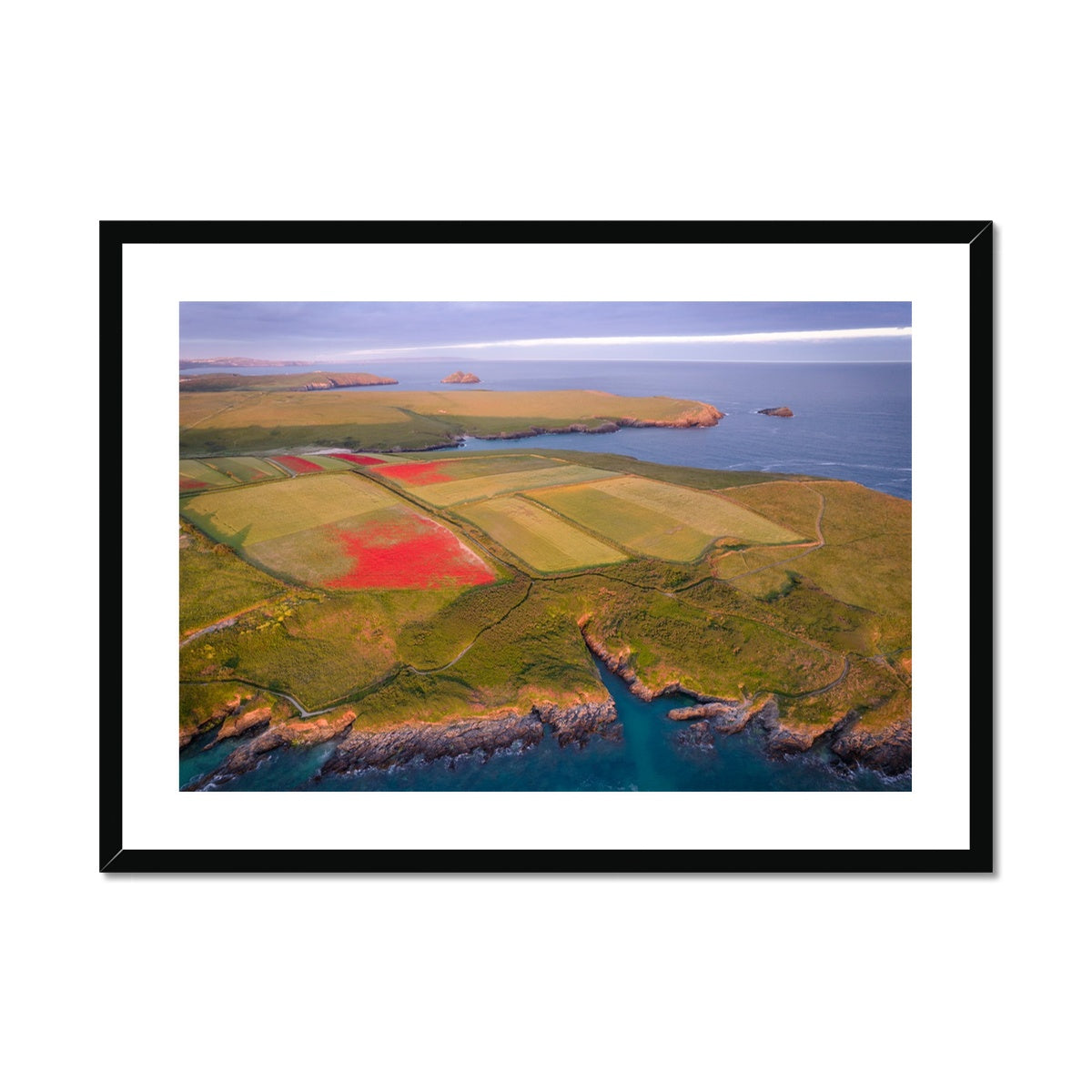 Poppies West Pentire ~ Framed & Mounted Print