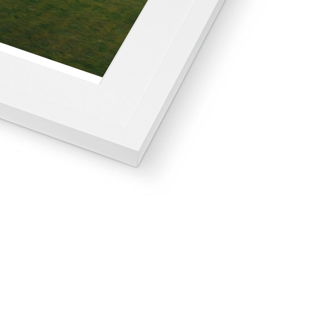 gribbin daymarker white frame detail