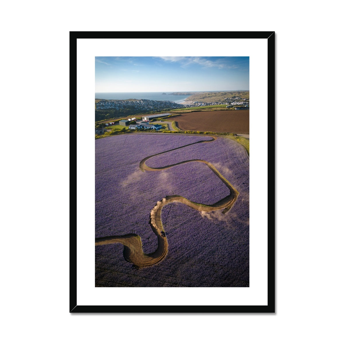 Phacelia Raceway ~ Framed & Mounted Print