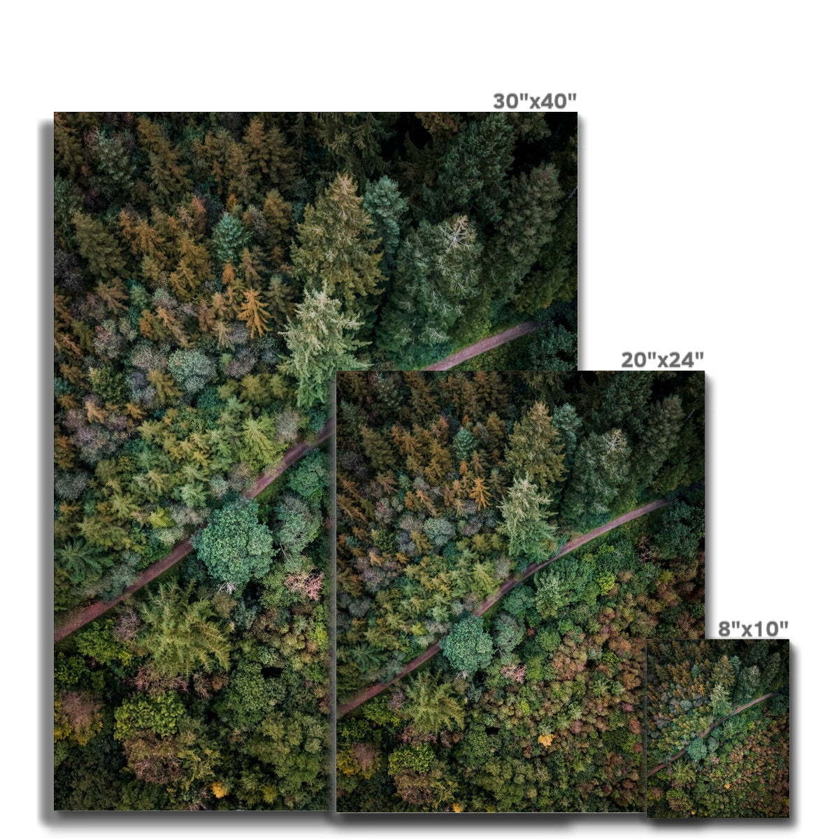 cardinham woods canvas sizes