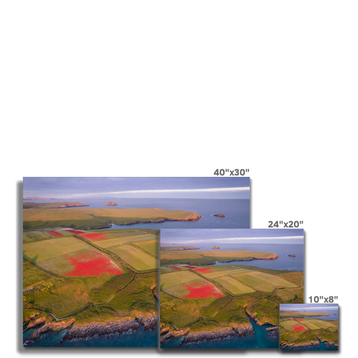 Poppies West Pentire ~ Canvas