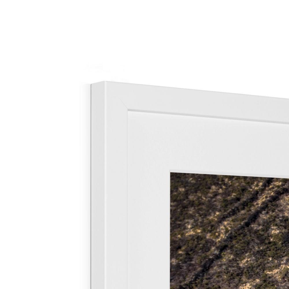 carn marth white frame detail