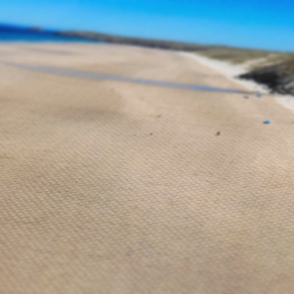 low tide perranporth canvas