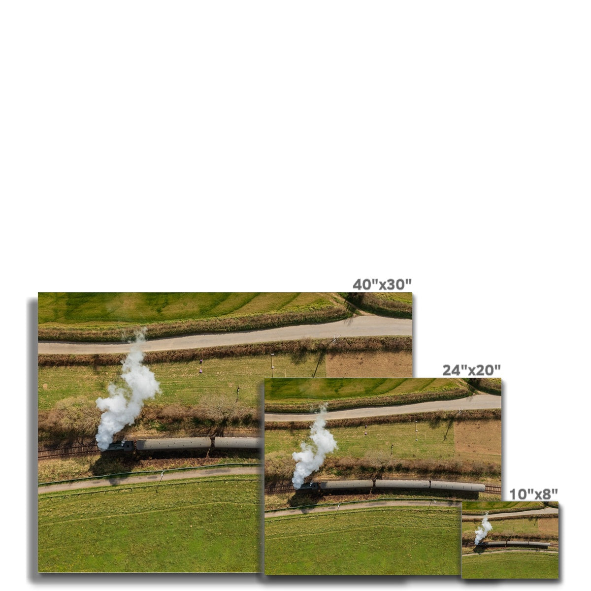 Bodmin & Wenford Steam Train ~ Canvas