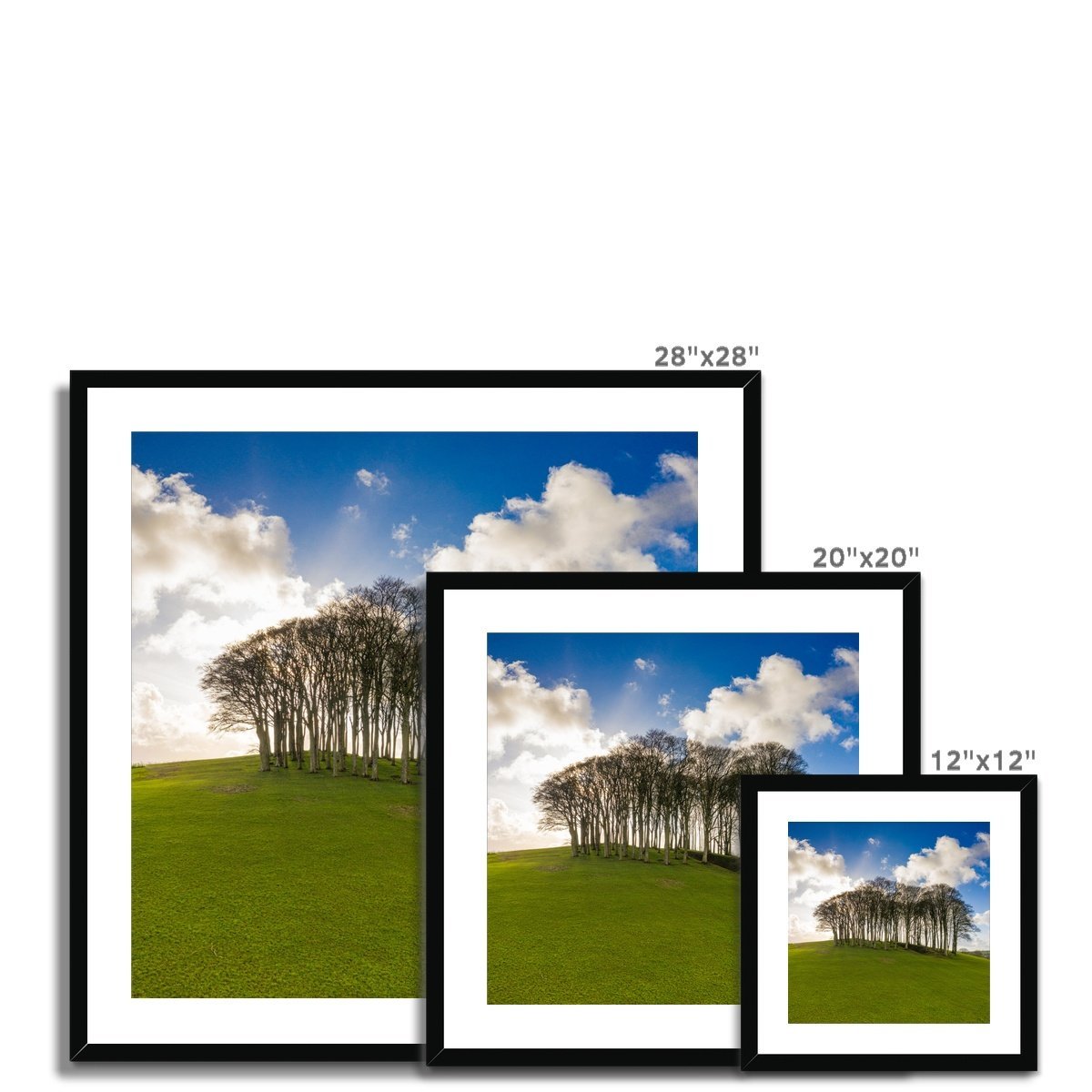 nearly home trees frame sizes