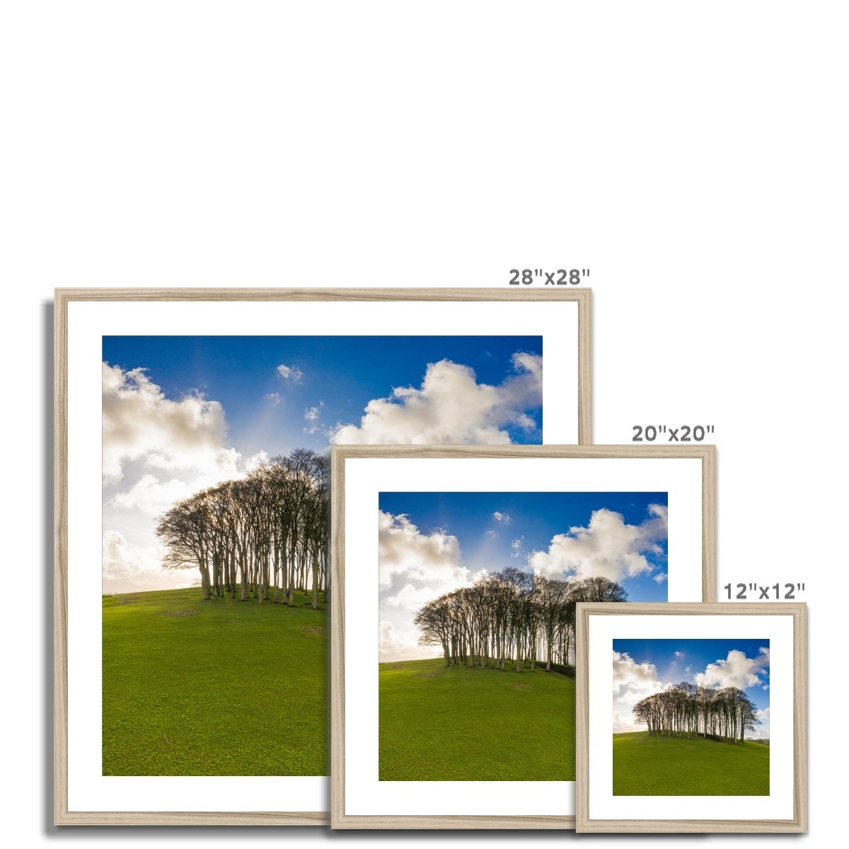 nearly home trees wooden frame sizes