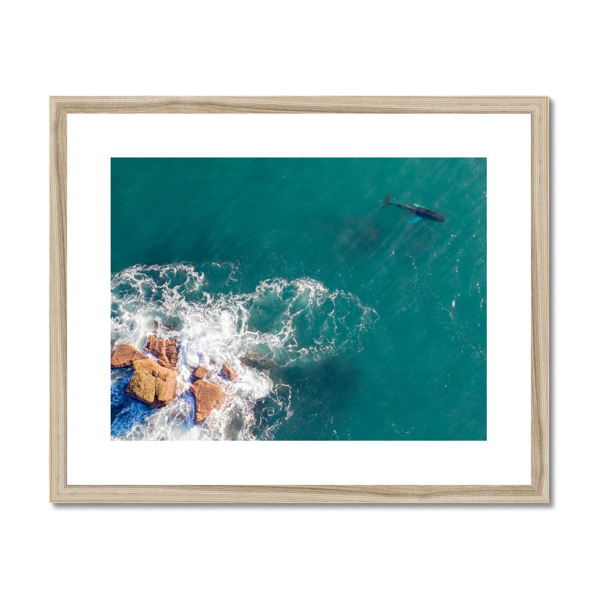 whale wooden frame